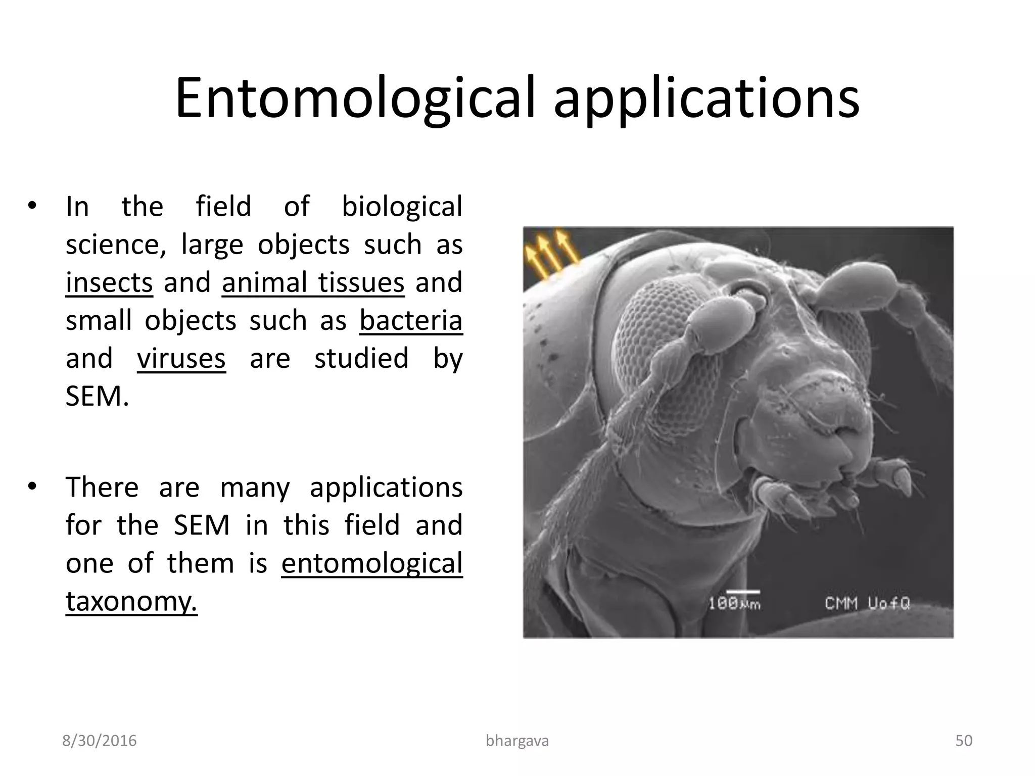 Entomological applications
• In the field of biological
science, large objects such as
insects and animal tissues and
small objects such as bacteria
and viruses are studied by
SEM.
• There are many applications
for the SEM in this field and
one of them is entomological
taxonomy.
8/30/2016 bhargava 50
 