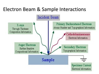 8/30/2016 bhargava 15
Electron Beam & Sample Interactions
 