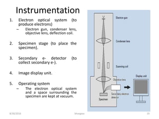 Instrumentation
1. Electron optical system (to
produce electrons)
– Electron gun, condenser lens,
objective lens, deflection coil.
2. Specimen stage (to place the
specimen).
3. Secondary e- detector (to
collect secondary e-).
4. Image display unit.
5. Operating system
– The electron optical system
and a space surrounding the
specimen are kept at vacuum.
8/30/2016 bhargava 19
 