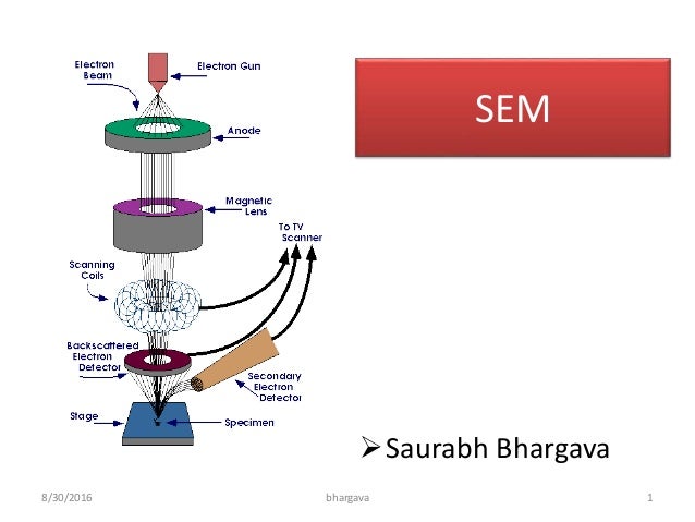 scanning electron microscopy sem lecture sem microscopy