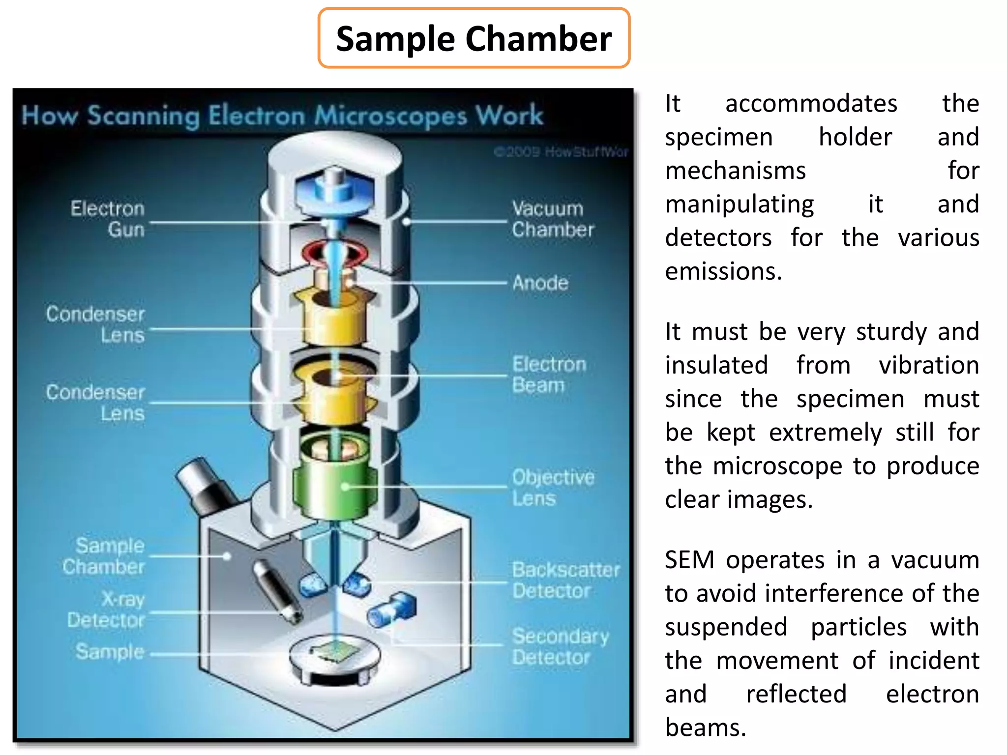It accommodates the
specimen holder and
mechanisms for
manipulating it and
detectors for the various
emissions.
It must be very sturdy and
insulated from vibration
since the specimen must
be kept extremely still for
the microscope to produce
clear images.
SEM operates in a vacuum
to avoid interference of the
suspended particles with
the movement of incident
and reflected electron
beams.
Sample Chamber
 