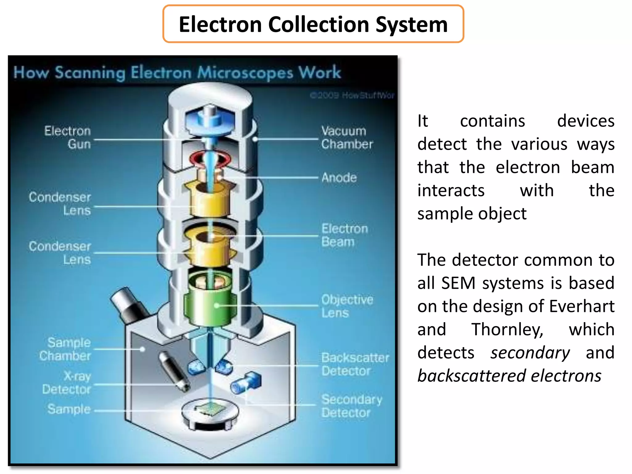 Electron Collection System
It contains devices
detect the various ways
that the electron beam
interacts with the
sample object
The detector common to
all SEM systems is based
on the design of Everhart
and Thornley, which
detects secondary and
backscattered electrons
 