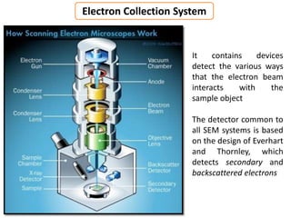 Electron Collection System
It contains devices
detect the various ways
that the electron beam
interacts with the
sample object
The detector common to
all SEM systems is based
on the design of Everhart
and Thornley, which
detects secondary and
backscattered electrons
 