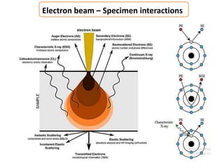 Electron beam – Specimen interactions
 