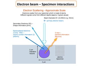 Electron beam – Specimen interactions
 