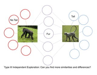 Fur
Tail
Type III Independent Exploration: Can you find more similarities and differences?
No Tail
 