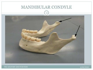 Condyle Pain Temporomandibular joint | PPTX