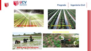 Ingeniería Civil
Pregrado
RIEGO POR INUNDACION
RIEGO POR GRAVEDAD
RIEGO POR ASPERSION
RIEGO POR GOTEO
 