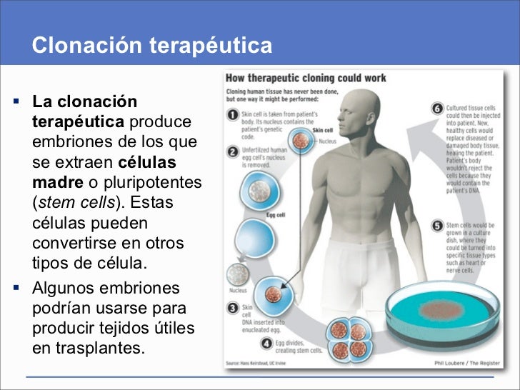 Presentación del capítulo 13