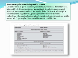 Sistemas reguladores de la presión arterial:
Los cambios en el gasto cardíaco y resistencias periféricas dependen de la
interacción de diversos sistemas que actúan interrelacionados entre sí.
Mientras unos tienden a elevar los niveles de PA (actividad adrenérgica,
sistema renina-angiotensina, prostaglandinas vasoconstrictoras,
endotelinas y factor atrial natriurético) otros tienden a disminuirlos (óxido
nítrico (ON), prostaglandinas vasodilatadoras, bradikininas
 