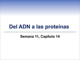 Del ADN a las proteínas
    Semana 11, Capítulo 14
 