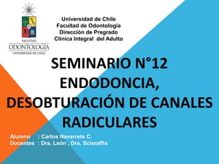 SEMINARIO N°12
ENDODONCIA,
DESOBTURACIÓN DE CANALES
RADICULARES
Alumno : Carlos Navarrete C.
Docentes : Dra. León , Dra. S...