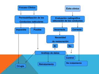 Fracaso Clínico
No tratamiento
Análisis de datos
Incorrecta Correcta
Evaluación radiográfica
obturación de los conductos
C...