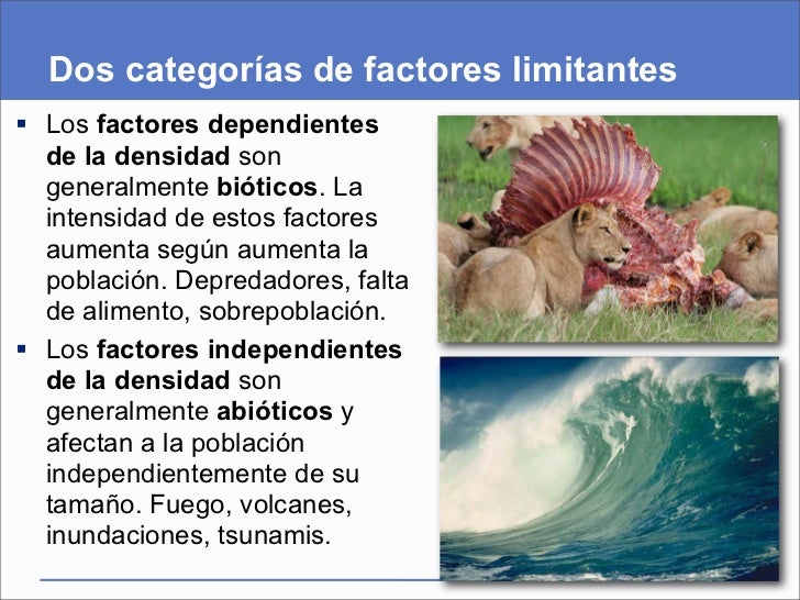 Presentación del capítulo 45