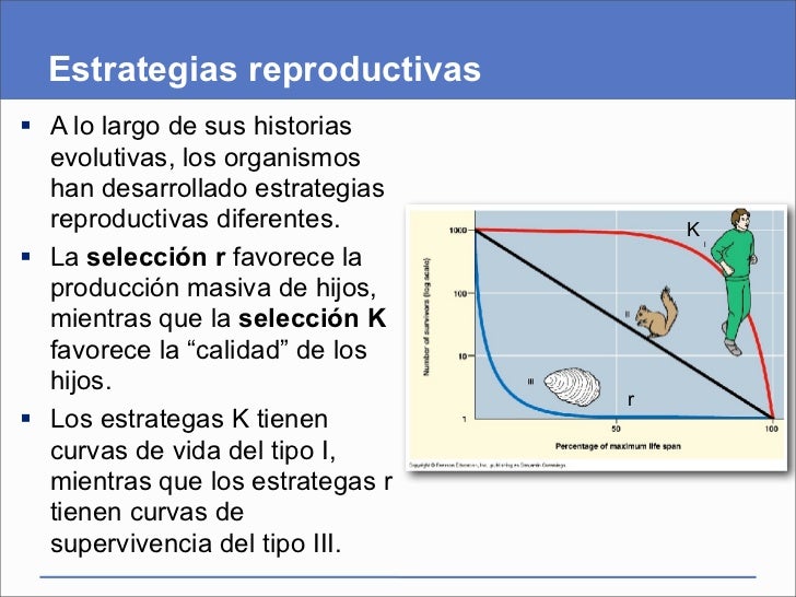 Presentación del capítulo 45