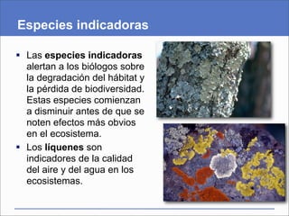 Especies indicadoras

 Las especies indicadoras
  alertan a los biólogos sobre
  la degradación del hábitat y
  la pérdida de biodiversidad.
  Estas especies comienzan
  a disminuir antes de que se
  noten efectos más obvios
  en el ecosistema.
 Los líquenes son
  indicadores de la calidad
  del aire y del agua en los
  ecosistemas.
 