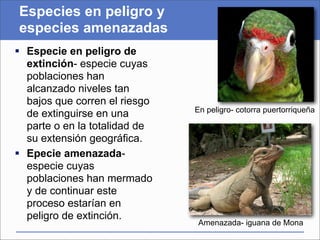 Especies en peligro y
especies amenazadas
 Especie en peligro de
  extinción- especie cuyas
  poblaciones han
  alcanzado niveles tan
  bajos que corren el riesgo
                               En peligro- cotorra puertorriqueña
  de extinguirse en una
  parte o en la totalidad de
  su extensión geográfica.
 Epecie amenazada-
  especie cuyas
  poblaciones han mermado
  y de continuar este
  proceso estarían en
  peligro de extinción.
                                Amenazada- iguana de Mona
 