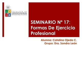 SEMINARIO Nº 17:
Formas De Ejercicio
Profesional
Alumna: Catalina Ojeda C.
Grupo: Dra. Sandra León
 