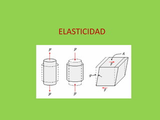 ELASTICIDAD 