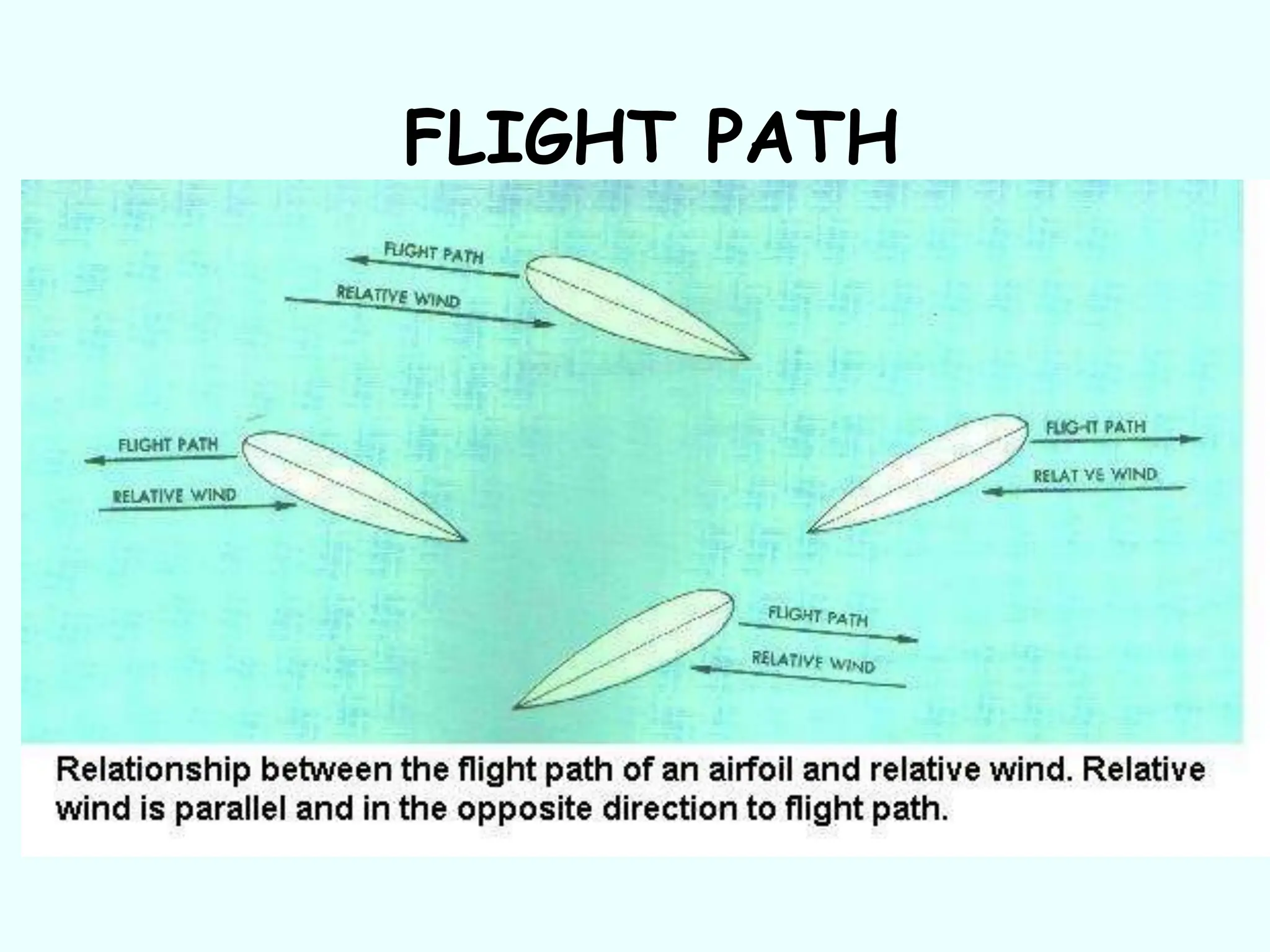 FLIGHT PATH
 