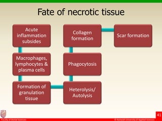 Tissue Death Necrosis and degeneration | PPTX