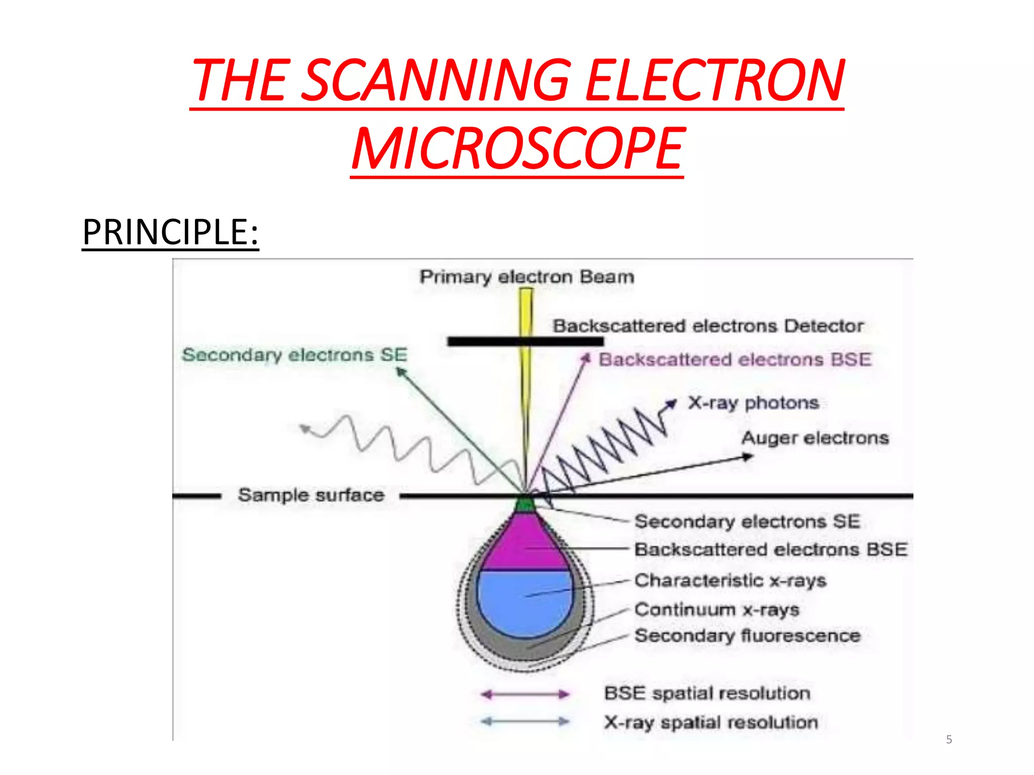 THE SCANNING ELECTRON
MICROSCOPE
PRINCIPLE:
5
 