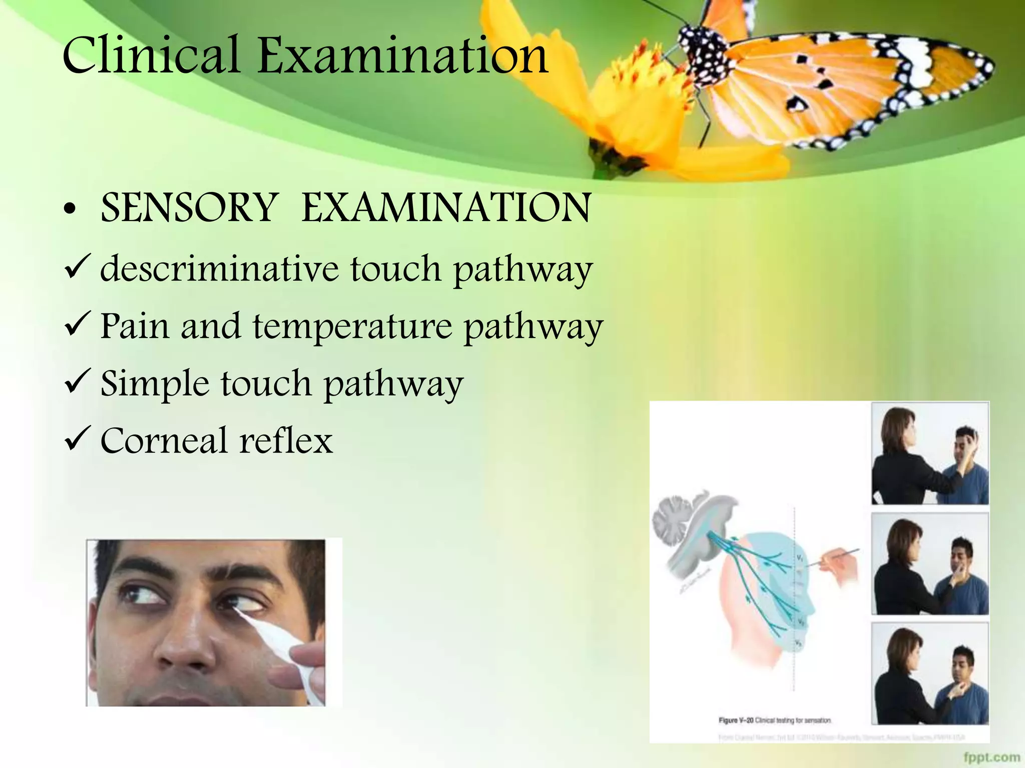 Anatomy of Trigeminal Nerve and Facial nerve | PPTX