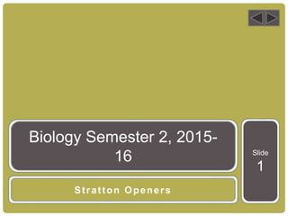 Slide
1
Stratton Openers
Biology Semester 2, 2015-
16
 
