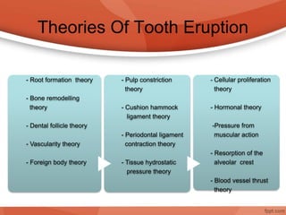 Theories Of Tooth Eruption
- Root formation theory
- Bone remodelling
theory
- Dental follicle theory
- Vascularity theory
- Foreign body theory
- Pulp constriction
theory
- Cushion hammock
ligament theory
- Periodontal ligament
contraction theory
- Tissue hydrostatic
pressure theory
- Cellular proliferation
theory
- Hormonal theory
-Pressure from
muscular action
- Resorption of the
alveolar crest
- Blood vessel thrust
theory
 