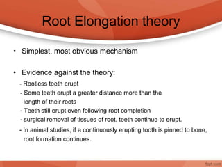 Root Elongation theory
• Simplest, most obvious mechanism
• Evidence against the theory:
- Rootless teeth erupt
- Some teeth erupt a greater distance more than the
length of their roots
- Teeth still erupt even following root completion
- surgical removal of tissues of root, teeth continue to erupt.
- In animal studies, if a continuously erupting tooth is pinned to bone,
root formation continues.
 
