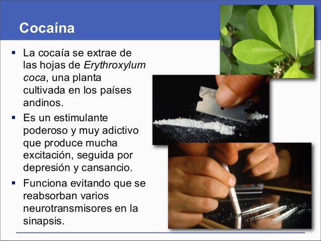 Presentación del capítulo 33