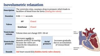 Comprehensive Overview of Cardiac Cycle and Electrocardiogram ...