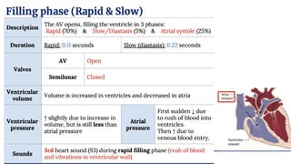 Comprehensive Overview of Cardiac Cycle and Electrocardiogram ...