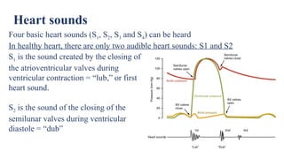 Comprehensive Overview of Cardiac Cycle and Electrocardiogram ...