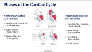 Comprehensive Overview of Cardiac Cycle and Electrocardiogram ...