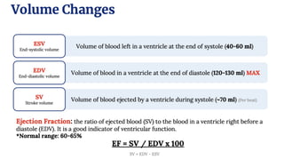 Comprehensive Overview of Cardiac Cycle and Electrocardiogram ...