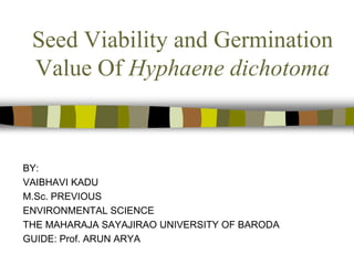 Seed Viability and Germination
Value Of Hyphaene dichotoma
BY:
VAIBHAVI KADU
M.Sc. PREVIOUS
ENVIRONMENTAL SCIENCE
THE MAHARAJA SAYAJIRAO UNIVERSITY OF BARODA
GUIDE: Prof. ARUN ARYA
 