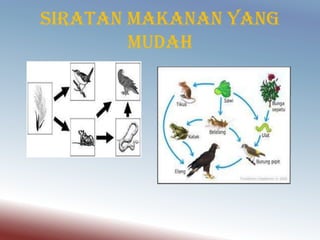 Sem 3 Rantain Makanan Dan Siratan Makanan