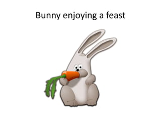 Bunny enjoying a feast
 