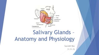 Salivary Glands –
Anatomy and Physiology
Saurabh Roy
11.11.151
 