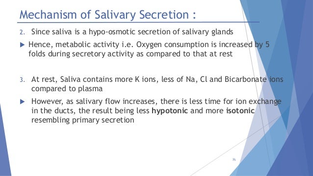 What are some causes of excessive saliva flow?
