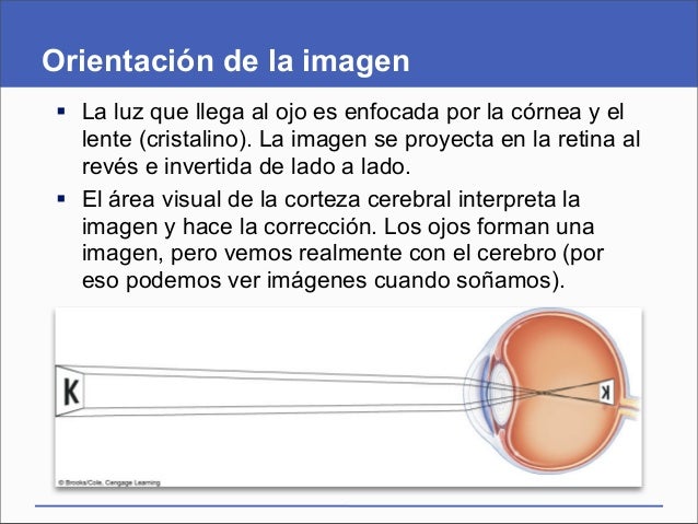 Presentación del capítulo 34