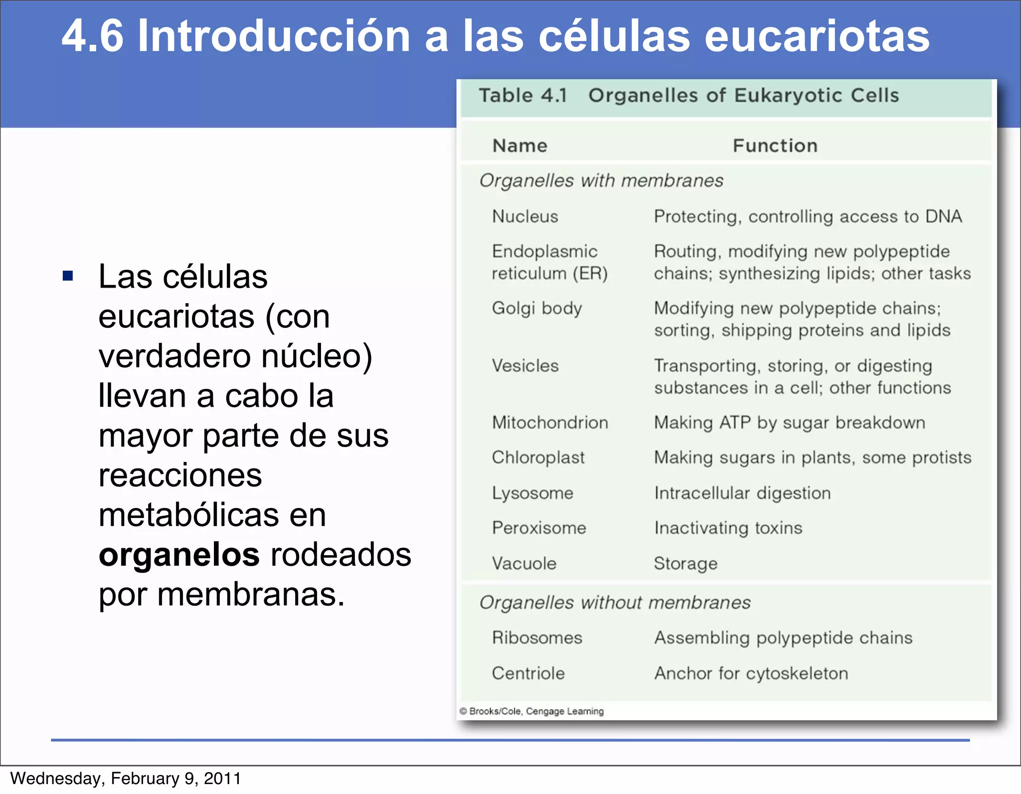 4.6 Introducción a las células eucariotas




      Las células
       eucariotas (con
       verdadero núcleo)
       llevan a cabo la
       mayor parte de sus
       reacciones
       metabólicas en
       organelos rodeados
       por membranas.




Wednesday, February 9, 2011
 