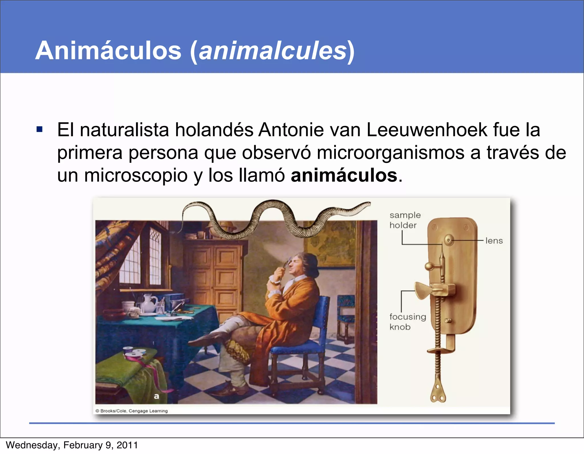 Animáculos (animalcules)

      El naturalista holandés Antonie van Leeuwenhoek fue la
       primera persona que observó microorganismos a través de
       un microscopio y los llamó animáculos.




Wednesday, February 9, 2011
 