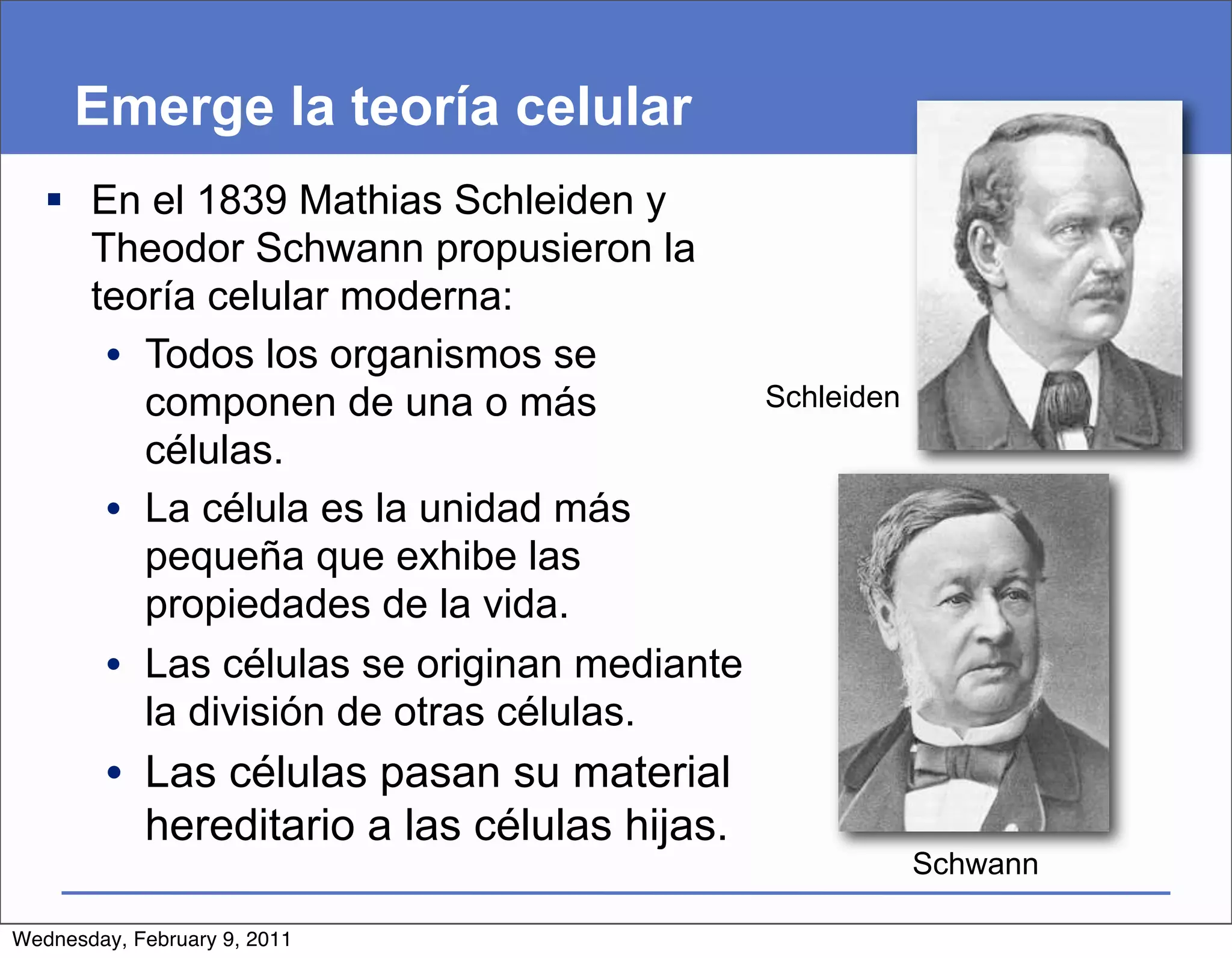 Emerge la teoría celular
    En el 1839 Mathias Schleiden y
     Theodor Schwann propusieron la
     teoría celular moderna:
      • Todos los organismos se
        componen de una o más                 Schleiden
        células.
      • La célula es la unidad más
        pequeña que exhibe las
        propiedades de la vida.
      • Las células se originan mediante
        la división de otras células.
         • Las células pasan su material
           hereditario a las células hijas.
                                                          Schwann

Wednesday, February 9, 2011
 