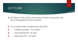 GCF FLOW
 GCF flow (or flow rate) is the process of fluid moving into and
out of the gingival crevice or pocket
 It is a small stream, usually only a few μl/hr.
 – Shallow pockets – 3 to 8 μl/hr
 – Intermediate PD- 20 μl/hr
 – Advanced PD – 137 μl/hr
 