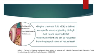 Gingival crevicular fluid (GCF) is defined
as a specific serum originating biologic
fluid -found in periodontal
microenvironment and can be harvested
from the gingival sulcus of natural teeth
Bulkacz J, Carranza FA. Defense mechanisms of the gingiva. In: Newman MG, Takei HH, Carranza FA, eds. Carranza’s Clinical
Periodontology, 11th ed. Los Angeles:Saunders; 2012:66-70.
 