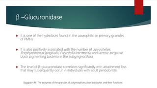 β –Glucuronidase
 It is one of the hydrolases found in the azurophilic or primary granules
of PMNs
 It is also positively associated with the number of Spirochetes,
Porphyromonas gingivalis, Prevotella intermedia and lactose-negative
black pigmenting bacteria in the subgingival flora
 The level of β-glucuronidase correlates significantly with attachment loss
that may subsequently occur in individuals with adult periodontitis
Baggiolini M. The enzymes of the granules of polymorphonuclear leukocytes and their functions.
 