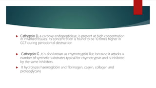  Cathepsin D, a carboxy endopeptidase, is present at high concentration
in inflamed tissues. Its concentration is found to be 10 times higher in
GCF during periodontal destruction
 Cathepsin G ,It is also known as chymotrypsin like, because it attacks a
number of synthetic substrates typical for chymotrypsin and is inhibited
by the same inhibitors.
 It hydrolyzes haemoglobin and fibrinogen, casein, collagen and
proteoglycans
 