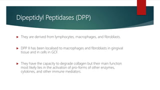 Dipeptidyl Peptidases (DPP)
 They are derived from lymphocytes, macrophages, and fibroblasts.
 DPP II has been localised to macrophages and fibroblasts in gingival
tissue and in cells in GCF.
 They have the capacity to degrade collagen but their main function
most likely lies in the activation of pro-forms of other enzymes,
cytokines, and other immune mediators.
 